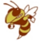 Licking County League - Buckeye Division - Licking Heights Hornets