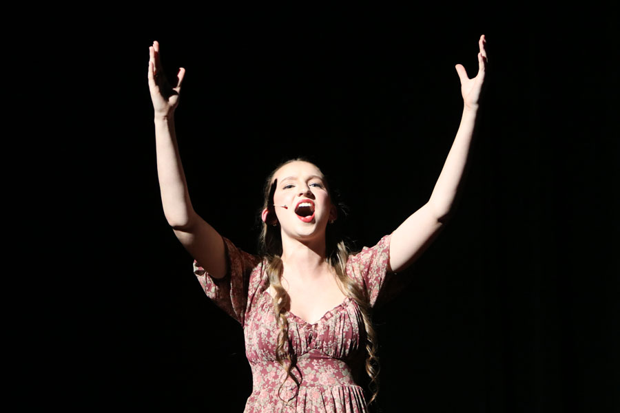 Newark Catholic High School Theater And Arts