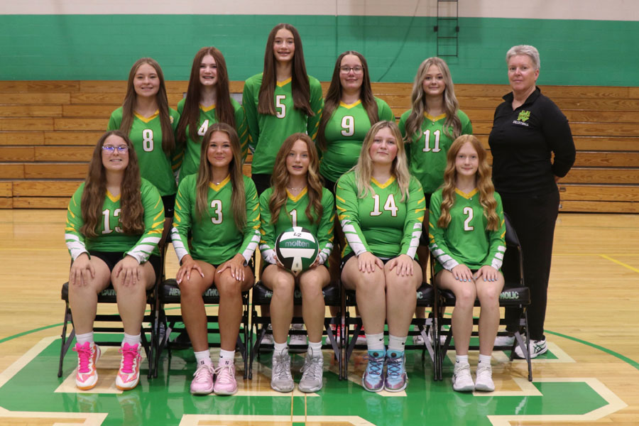 Newark Catholic High School JV Volleyball